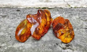 Tre pezzi di ambra baltica grezza, luminosi e traslucidi, mostrano le loro affascinanti proprietà naturali su una superficie rocciosa.
