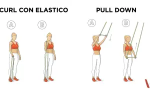 Esercizi con elastici: curl per bicipiti e pull down per la schiena, illustrati con posizioni A e B.