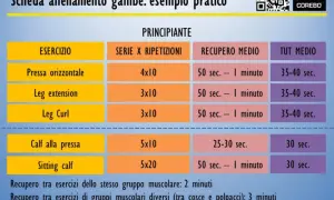 Scheda allenamento gambe uomo: esercizi come pressa, leg extension, leg curl, calf alla pressa e sitting calf con serie, ripetizioni e recupero.