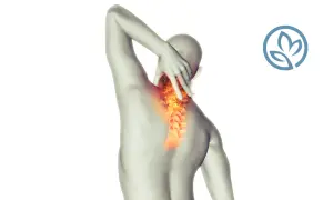 Dolore intenso al collo, come un fuoco, dopo un massaggio cervicale. La colonna vertebrale è evidenziata in rosso.