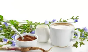 Tazza di caffè di cicoria, polvere e radice, circondati da fiori blu. Un aiuto naturale per chi vuole che il caffè di cicoria fa dimagrire.