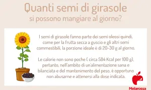 Semi di girasole: la porzione ideale è 20-30g. Attenzione alle calorie e alle controindicazioni se se ne abusa.