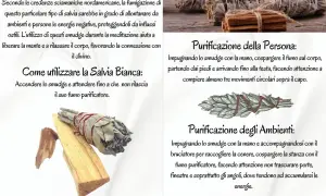 Salvia bianca e palo santo: come si usa per purificare persona e ambienti. Accendere lo smudge e diffondere il fumo per allontanare energie negative.