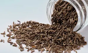 Semi di cumino nero versati da un barattolo di vetro. Scopri come mangiarli per un sapore unico.