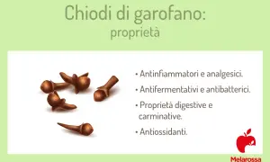 Chiodi di garofano: proprietà antinfiammatorie, digestive e antiossidanti. Un tesoro di benefici naturali.
