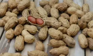 Un mucchio di arachidi, alcune aperte rivelano i loro chicchi rossastri. Un alimento salutare, utile anche per chi soffre di diabete.