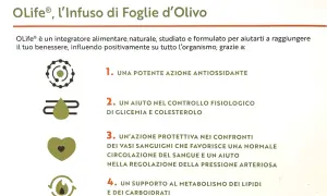 OLife, infuso di foglie d'ulivo, sfrutta le proprietà naturali per benessere: antiossidante, controllo glicemia/colesterolo, circolazione e metabolismo.