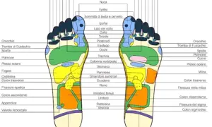 Mappa dei punti riflessi sui piedi per il massaggio. Ogni area corrisponde a organi e funzioni del corpo, utile per la riflessologia plantare.
