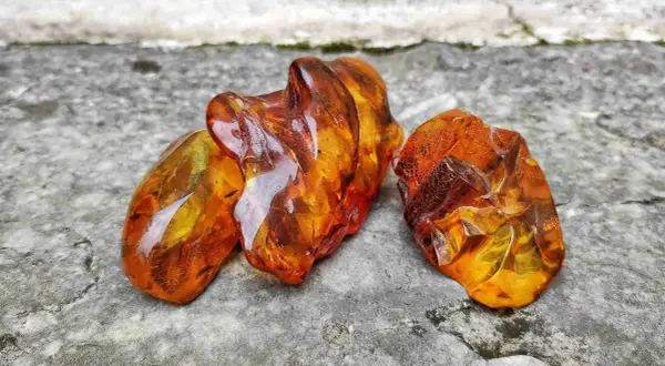 Tre pezzi di ambra baltica grezza, luminosi e traslucidi, mostrano le loro affascinanti proprietà naturali su una superficie rocciosa.
