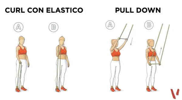 Esercizi con elastici: curl per bicipiti e pull down per la schiena, illustrati con posizioni A e B.