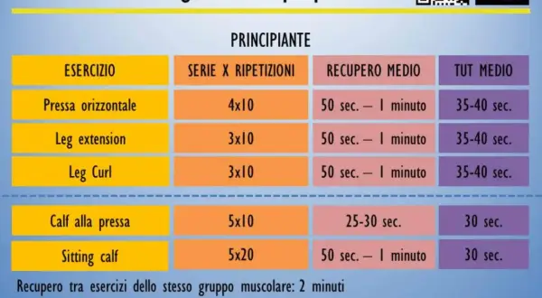 Scheda allenamento gambe uomo: esercizi come pressa, leg extension, leg curl, calf alla pressa e sitting calf con serie, ripetizioni e recupero.
