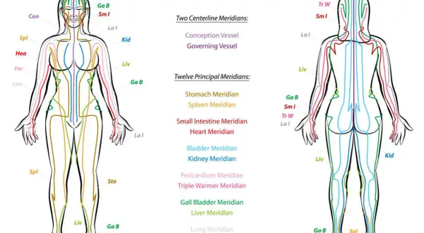 Schema dei meridiani del corpo, che illustra i percorsi energetici e i punti di pressione corpo per trattamenti di agopuntura.