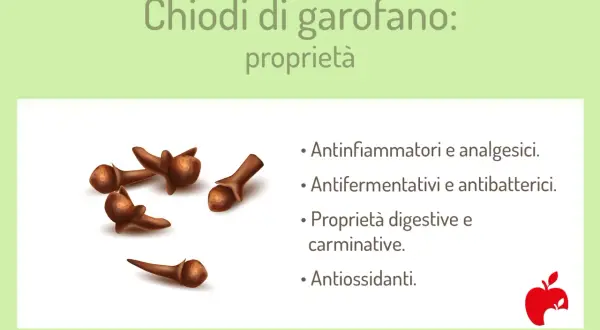 Chiodi di garofano: proprietà antinfiammatorie, digestive e antiossidanti. Un tesoro di benefici naturali.