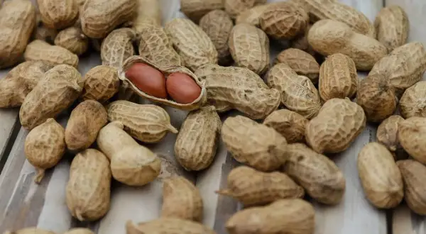 Un mucchio di arachidi, alcune aperte rivelano i loro chicchi rossastri. Un alimento salutare, utile anche per chi soffre di diabete.