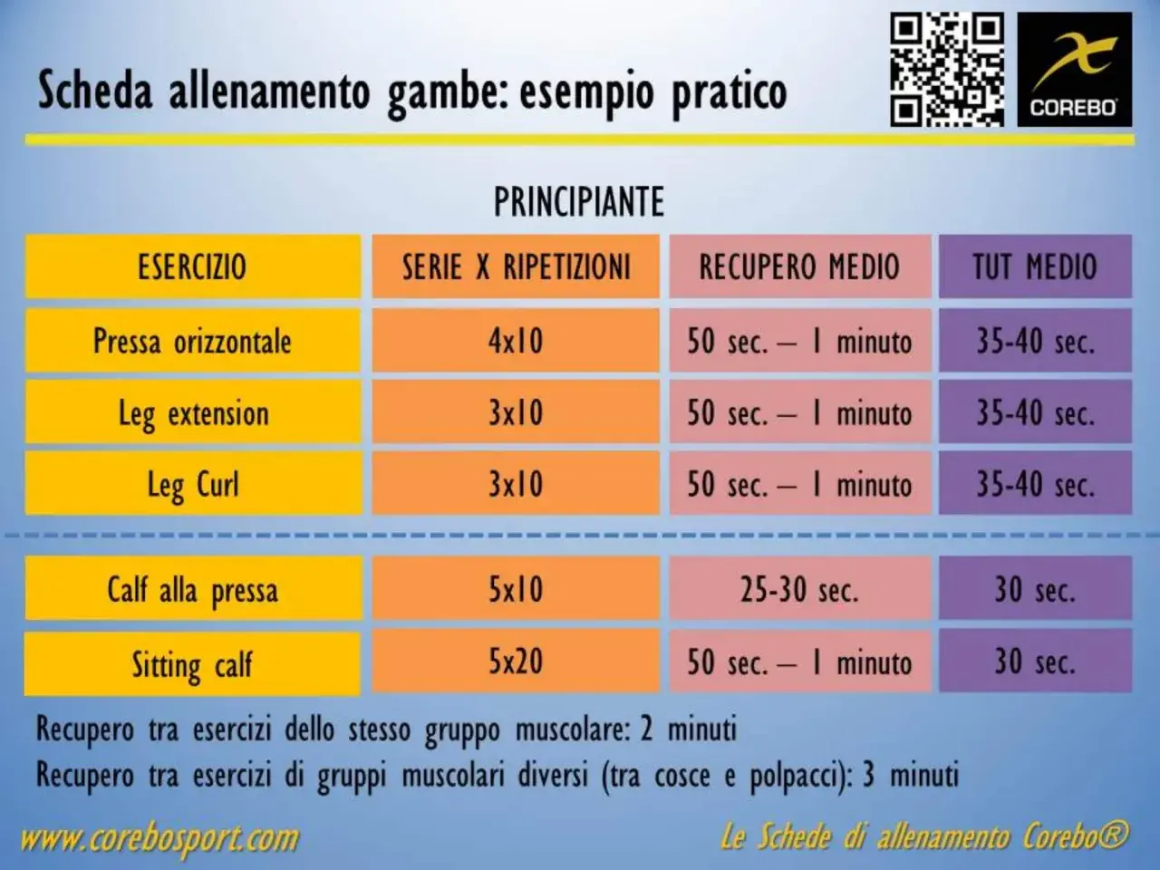 Scheda allenamento gambe uomo: esercizi come pressa, leg extension, leg curl, calf alla pressa e sitting calf con serie, ripetizioni e recupero.
