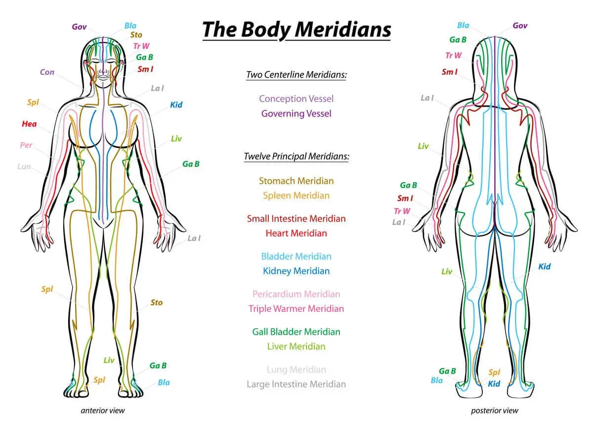 Schema dei meridiani del corpo, che illustra i percorsi energetici e i punti di pressione corpo per trattamenti di agopuntura.