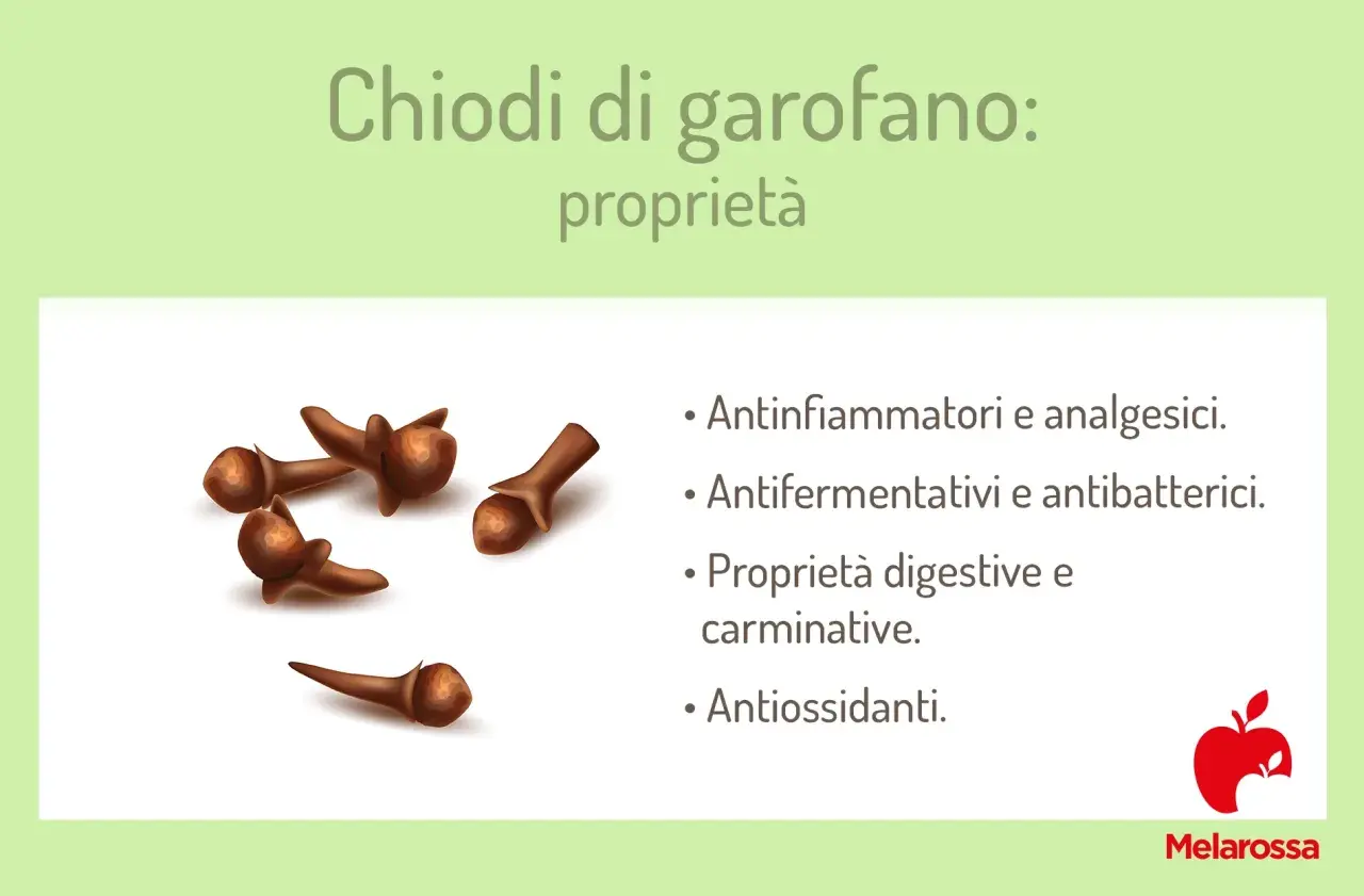 Chiodi di garofano: proprietà antinfiammatorie, digestive e antiossidanti. Un tesoro di benefici naturali.