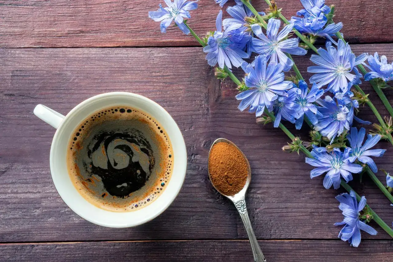 Tazza di caffè di cicoria fumante accanto a fiori blu e un cucchiaino di polvere di cicoria su un tavolo di legno scuro.