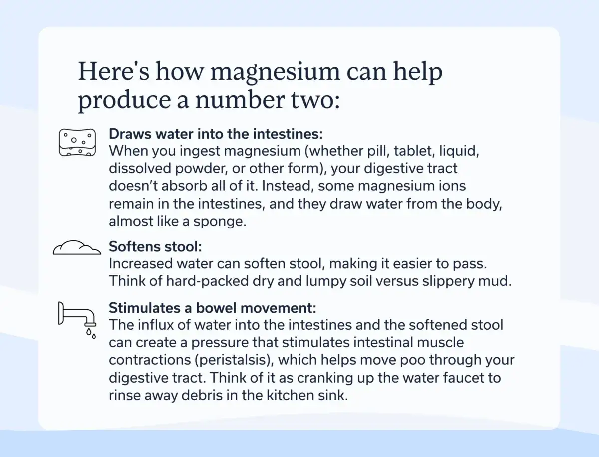 Spiegazione su come il magnesio favorisce la pulizia intestinale: attira acqua, ammorbidisce le feci e stimola il movimento intestinale.