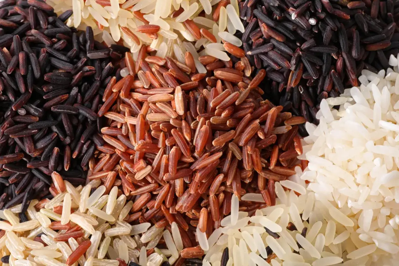 Varietà di riso: nero, rosso, integrale e basmati. Un mix che può influenzare la glicemia in modo diverso.