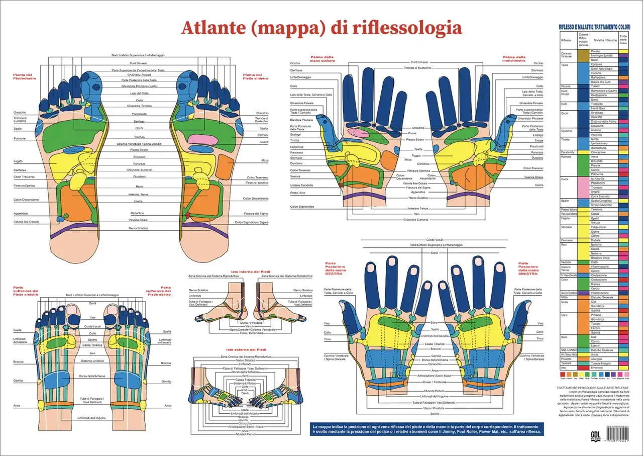 Mappa dei punti di pressione corpo per riflessologia plantare e palmare. Indica zone riflesse e trattamenti colore.
