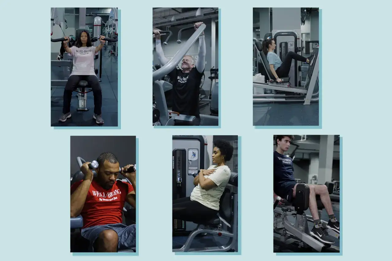 Persone diverse eseguono esercizi fondamentali in palestra: chest press, lat machine, leg press, curl per bicipiti, back extension e leg extension.