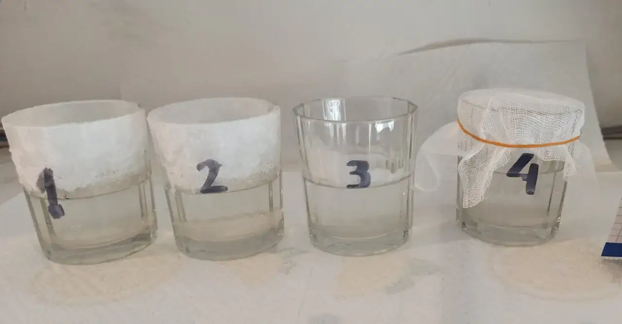 Esperimento per purificare la casa con il sale grosso: quattro bicchieri numerati con acqua e sale, alcuni coperti con garza.