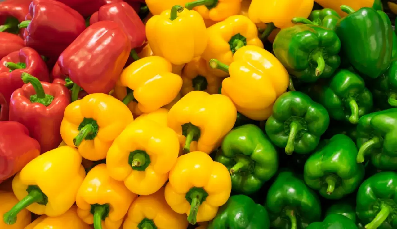 Peperoni rossi, gialli e verdi, ottimi per la salute e con un basso indice glicemico.