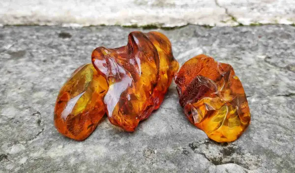 Tre pezzi di ambra baltica grezza, luminosi e traslucidi, mostrano le loro affascinanti proprietà naturali su una superficie rocciosa.