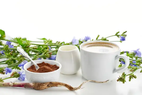 Tazza di caffè di cicoria, polvere e radice, circondati da fiori blu. Un aiuto naturale per chi vuole che il caffè di cicoria fa dimagrire.