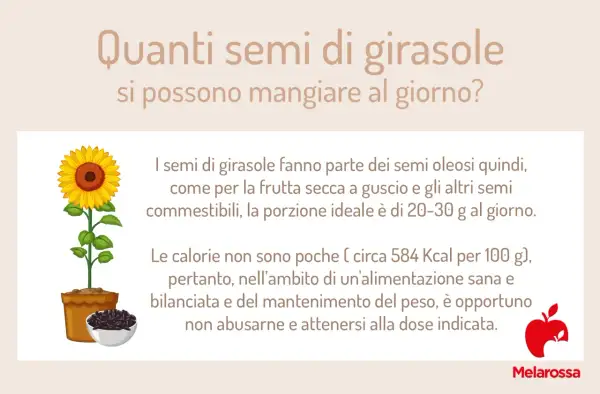 Semi di girasole: la porzione ideale è 20-30g. Attenzione alle calorie e alle controindicazioni se se ne abusa.