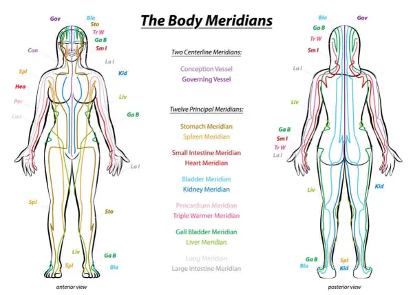 Schema dei meridiani del corpo, che illustra i percorsi energetici e i punti di pressione corpo per trattamenti di agopuntura.