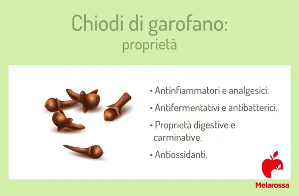 Chiodi di garofano: proprietà antinfiammatorie, digestive e antiossidanti. Un tesoro di benefici naturali.